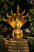 Vientiane, Laos - Pha That Luang, various Buddha statues among the Other structures on the ground. 